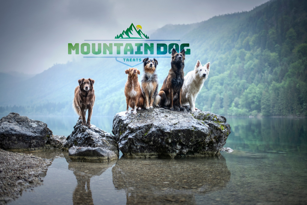 Mountain Dog Salmon Dog Treats and Dog Supplement