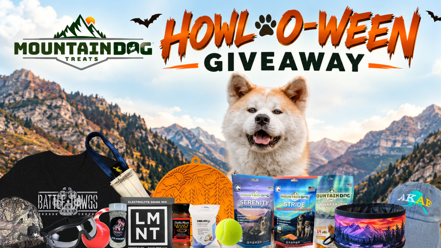 Holiday Giveaways 9